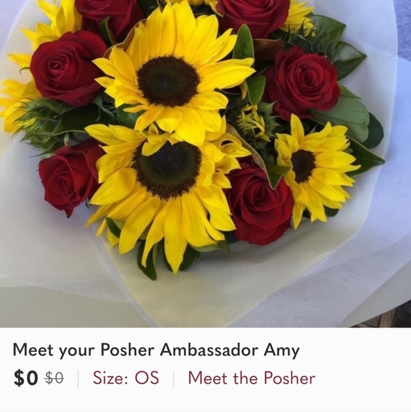 BUYER BEWARE OF AMY (ZENLIMA) - Picture 1 of 4